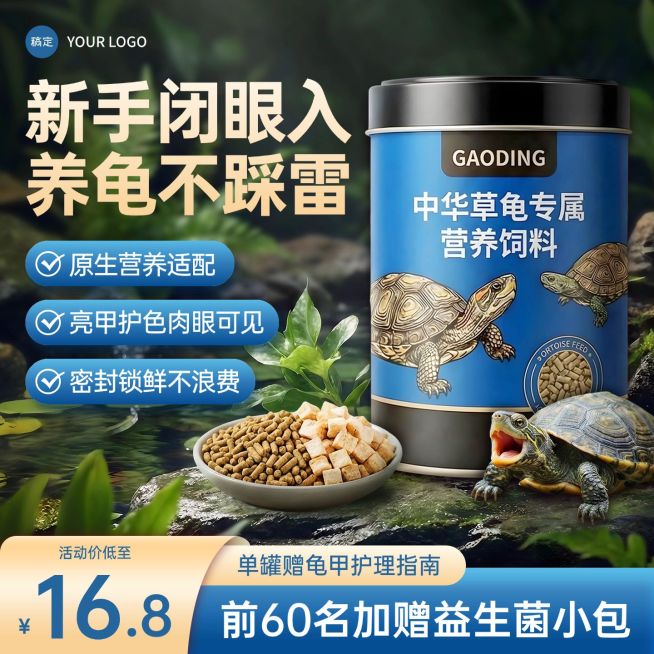 乌龟宠物饲料户外背景电商主图预览效果