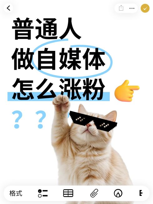 自媒体起号养号攻略科普mem梗图爆款大字小红书封面预览效果