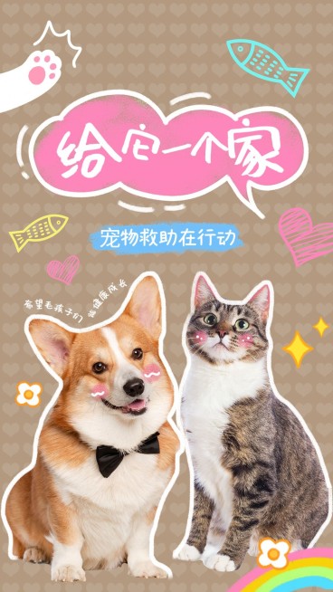 宠物救助宣传竖版视频封面预览效果