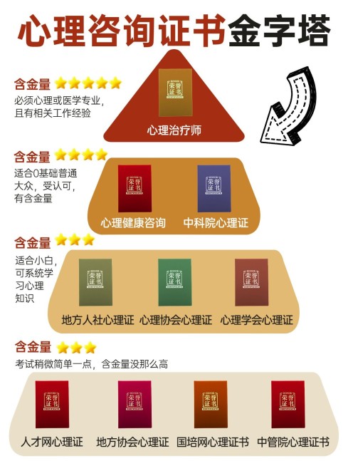 教育心理/证书金字塔攻略指南小红书配图预览效果