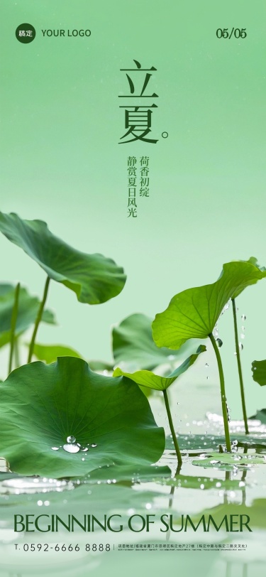 立夏实景感荷叶水珠池塘背景全屏手机海报