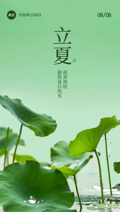 立夏实景感荷叶水珠池塘背景全屏手机海报