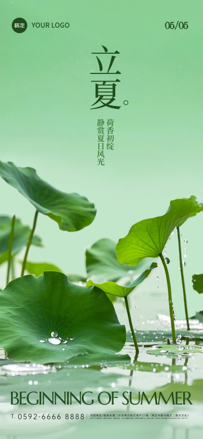 立夏实景感荷叶水珠池塘背景全屏手机海报