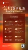 模板缩略图