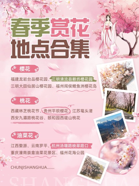 春季赏花旅游攻略小红书配图预览效果