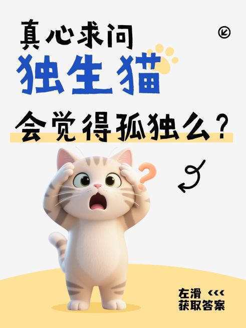 宠物话题讨论生活分享大字吸睛趣味小红书封面预览效果