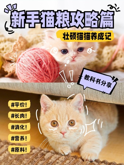 宠物新手知识科普攻略套装小红书封面预览效果