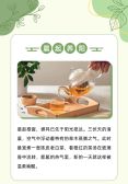 模板缩略图