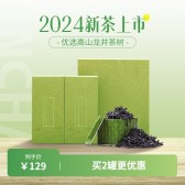 模板缩略图