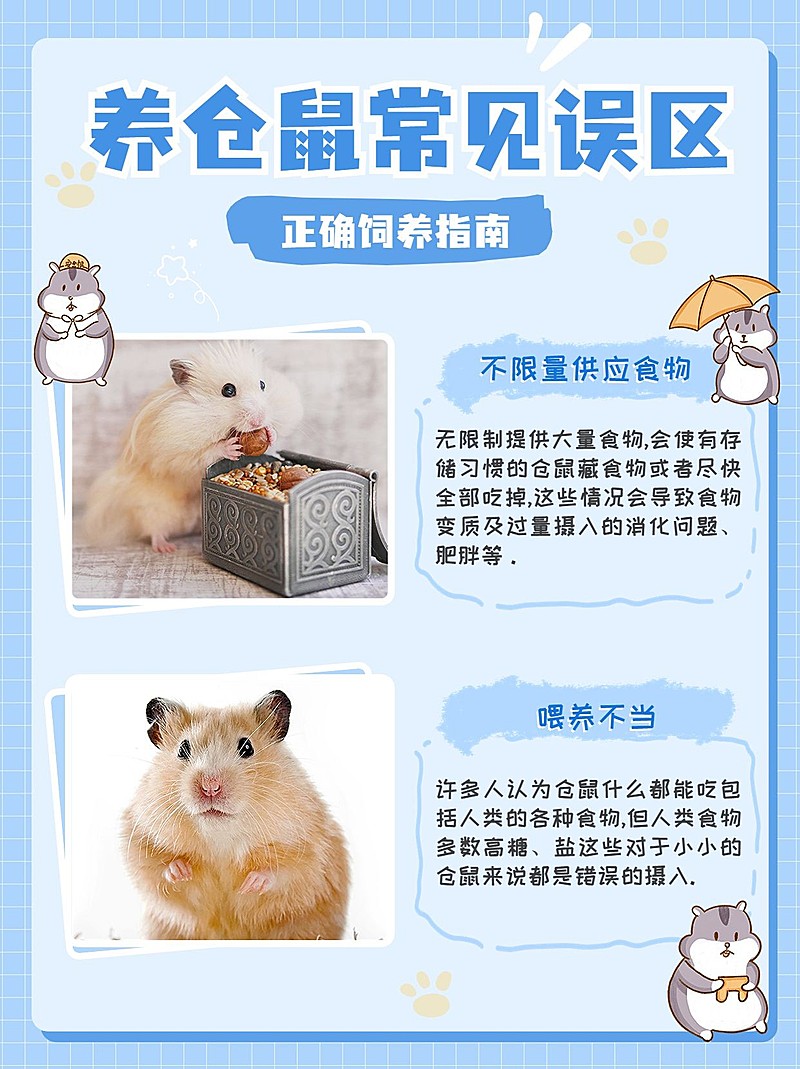 宠物知识科普小红书配图