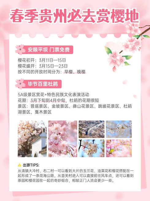 旅游出行春季旅游攻略小红书配图预览效果