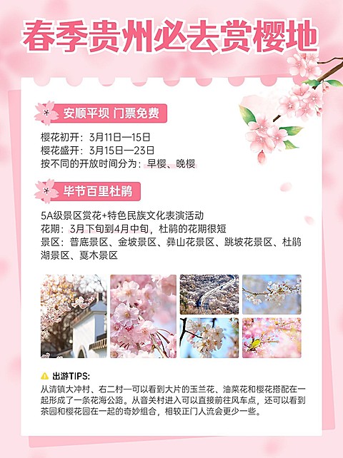 旅游出行春季旅游攻略小红书配图