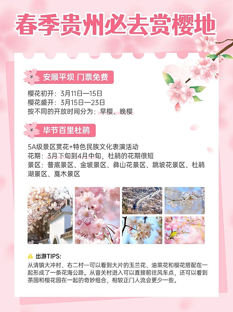 旅游出行春季旅游攻略小红书配图