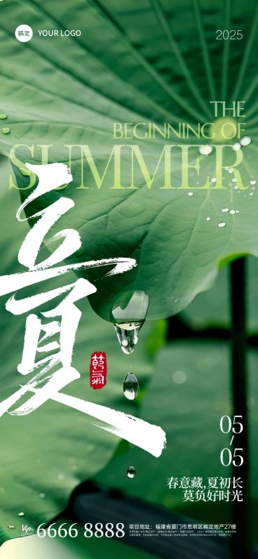 立夏实景感荷叶水珠近景模糊背景全屏手机海报预览效果