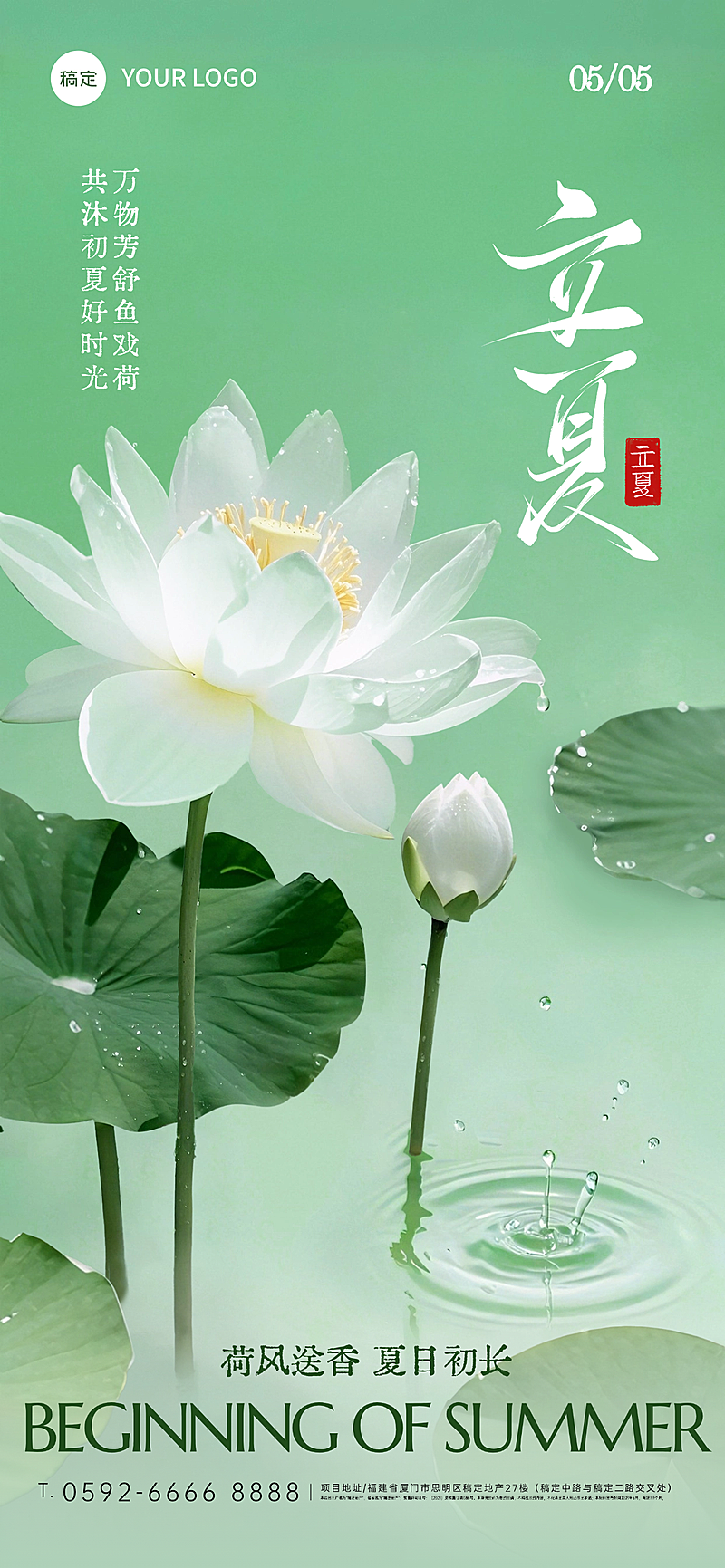 立夏实景感荷叶水珠池塘背景全屏手机海报