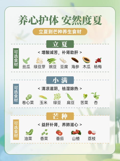 小满餐饮养生食谱小红书配图预览效果