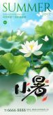 模板缩略图