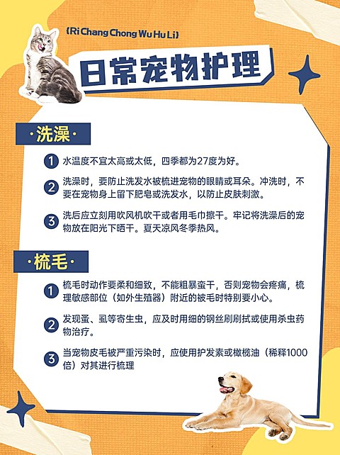 宠物护理知识科普小红书配图