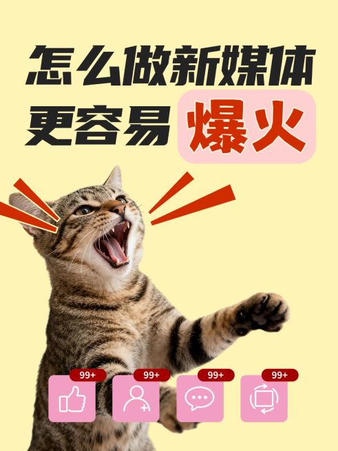 知识付费新媒体起号攻略指南大字小红书封面预览效果