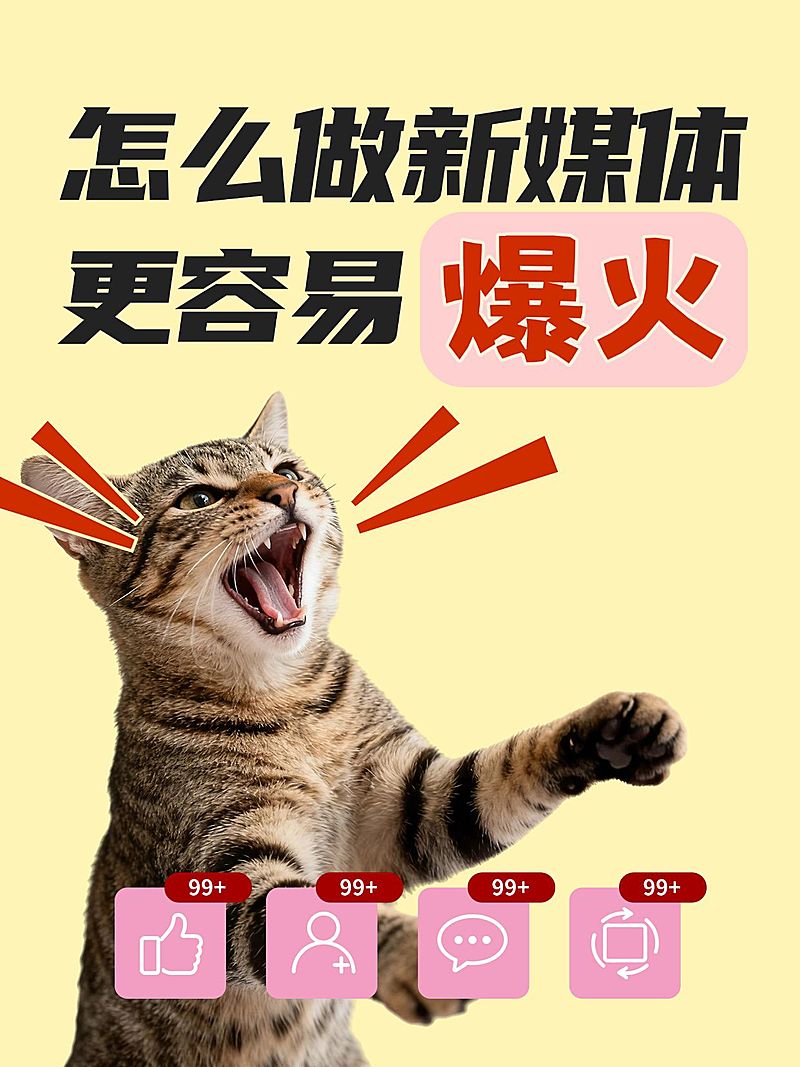 知识付费新媒体起号攻略指南大字小红书封面