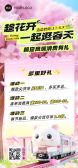 模板缩略图