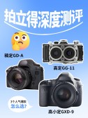 模板缩略图