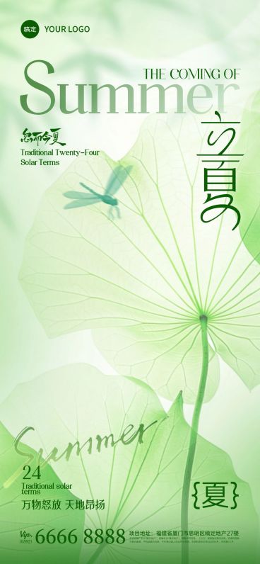 立夏实景感荷叶蜻蜓仰视背景全屏手机海报预览效果