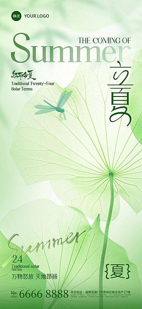立夏实景感荷叶蜻蜓仰视背景全屏手机海报