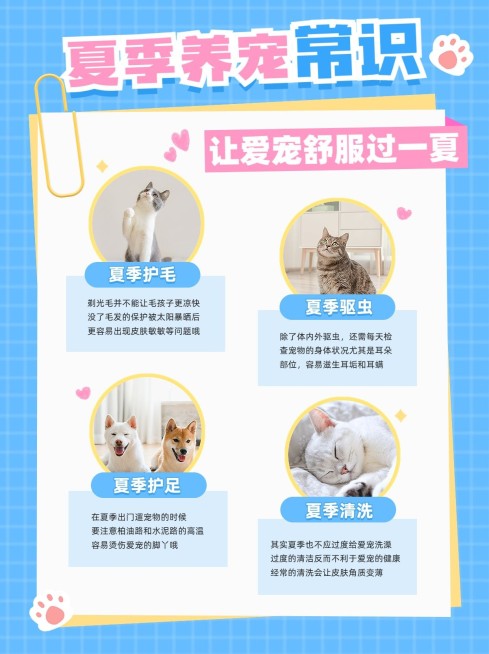宠物知识科普小红书配图预览效果