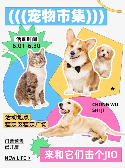 宠物展会活动宣传趣味感小红书封面预览效果
