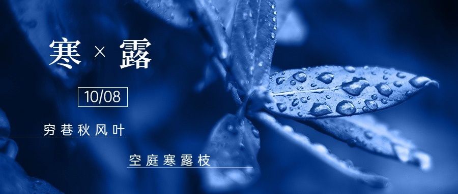 企业实景感寒露节气祝福-公众号首图预览效果