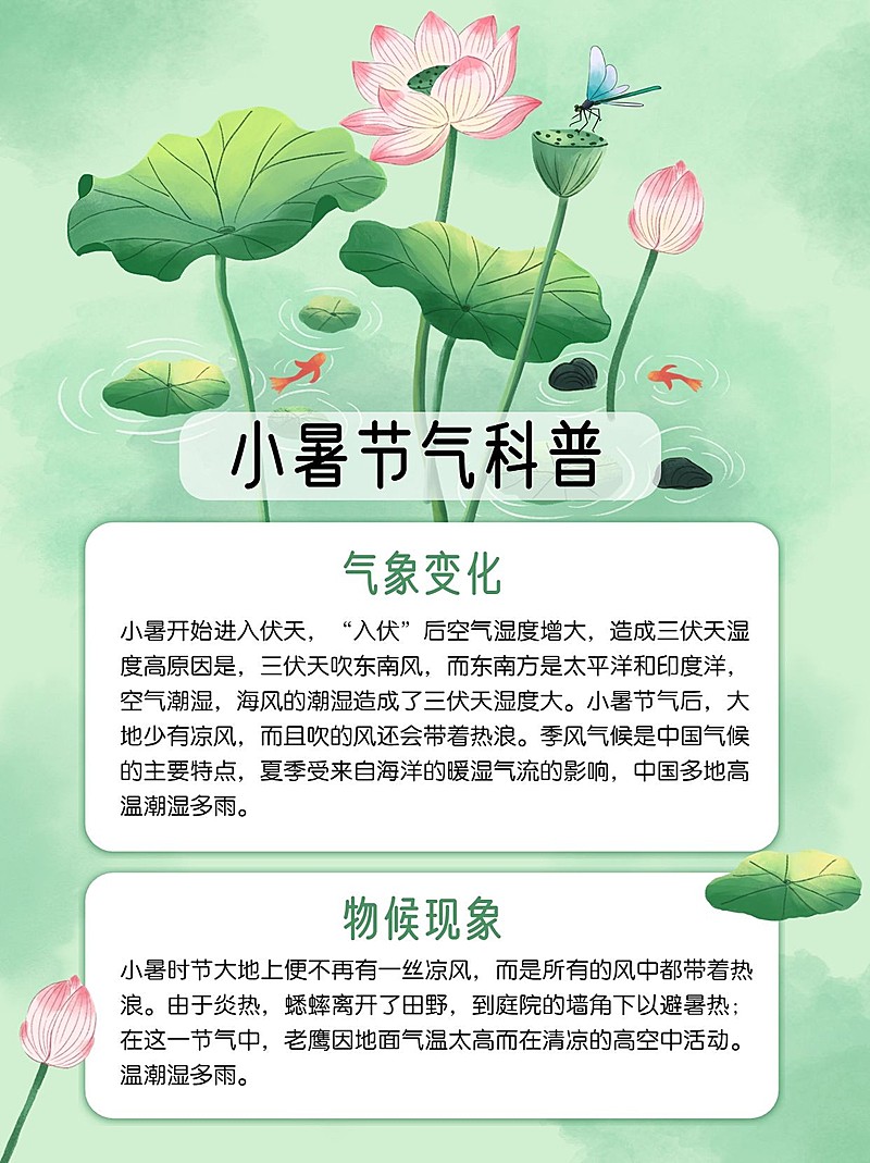 小暑节气科普中式感小红书套装小红书配图