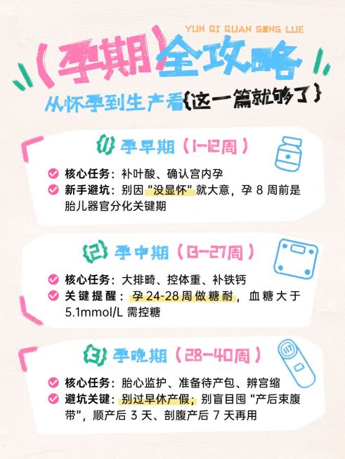 母婴亲子孕产孕期攻略指南分享拙气感小红书配图预览效果