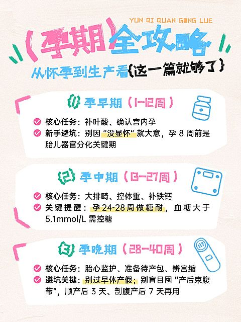 母婴亲子孕产孕期攻略指南分享拙气感小红书配图