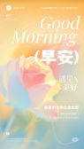 模板缩略图