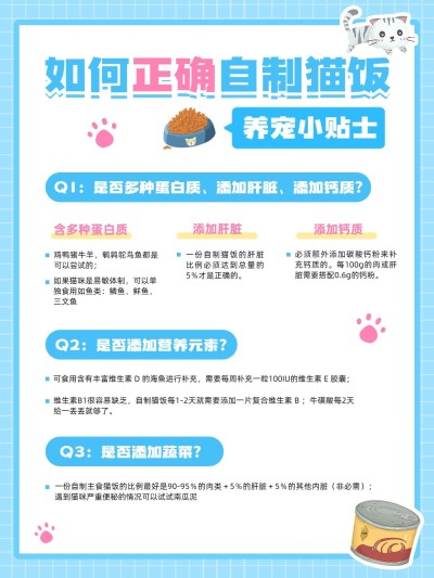 宠物知识科普手帐风套装小红书配图