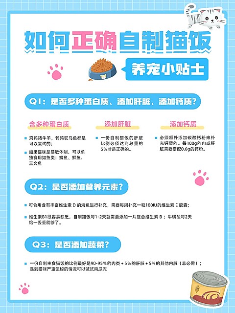 宠物知识科普手帐风套装小红书配图