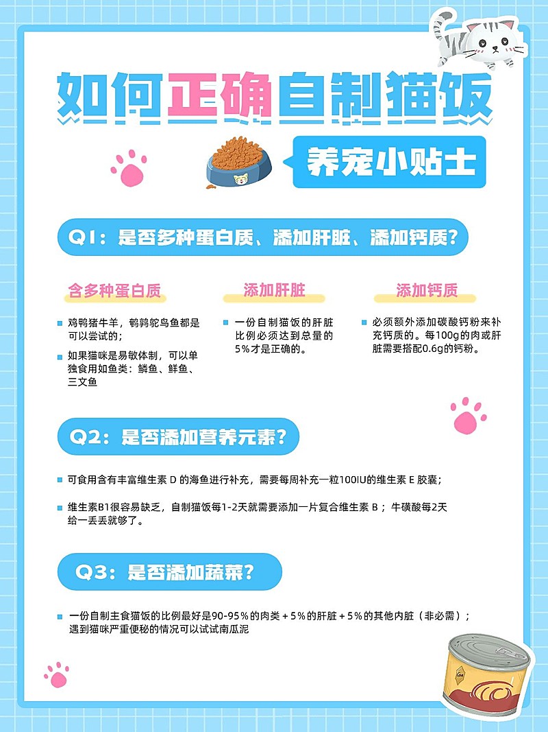 宠物知识科普手帐风套装小红书配图