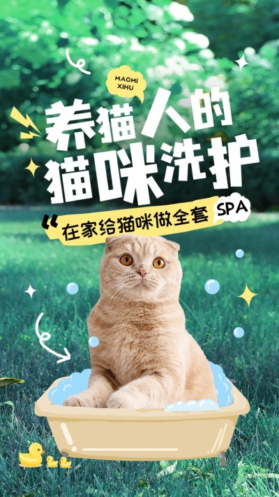 宠物知识科普宣传竖版视频封面