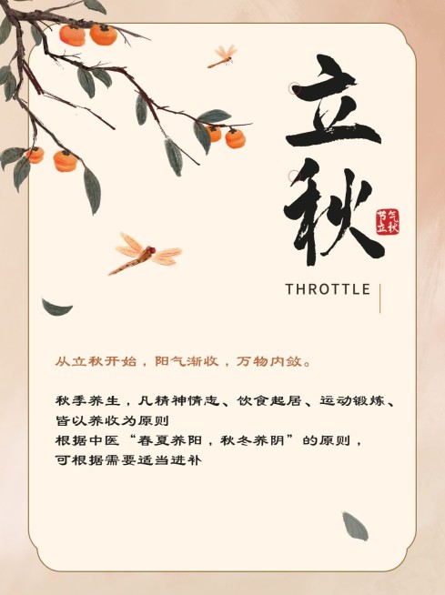 立秋节气科普中式感套装小红书配图预览效果
