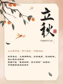 模板缩略图
