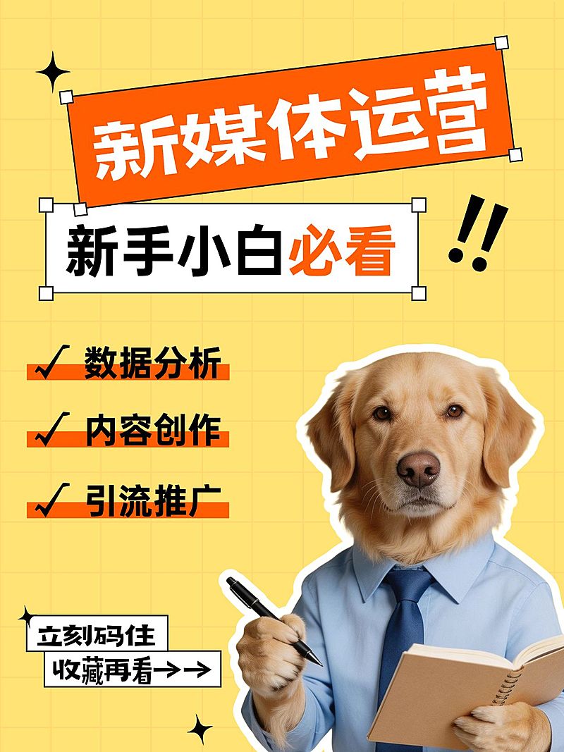 自媒体起号新媒体运营攻略分享大字小红书封面