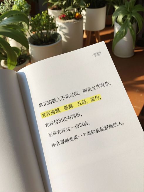 情感语录生活分享书单文案排版小红书封面预览效果