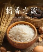 模板缩略图