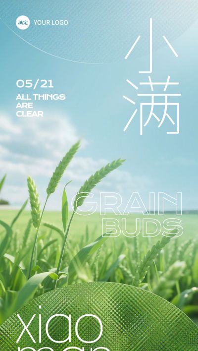 小满节气肌理光感小麦近景海报