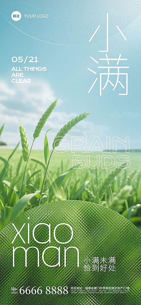 小满节气肌理光感小麦近景海报