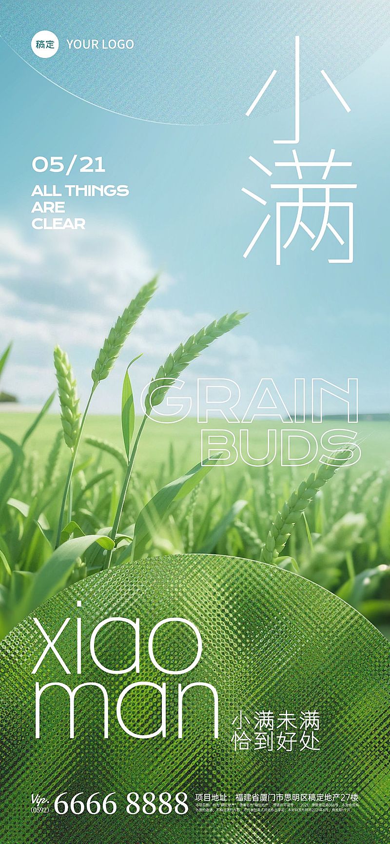 小满节气肌理光感小麦近景海报