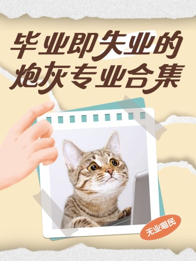 教育吸睛梗图猫咪表情包小红书封面