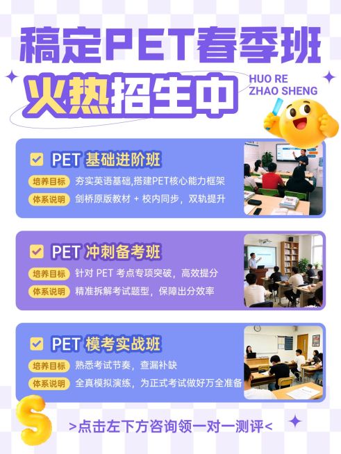 教育培训K12教育PET课程介绍拼图小红书配图预览效果