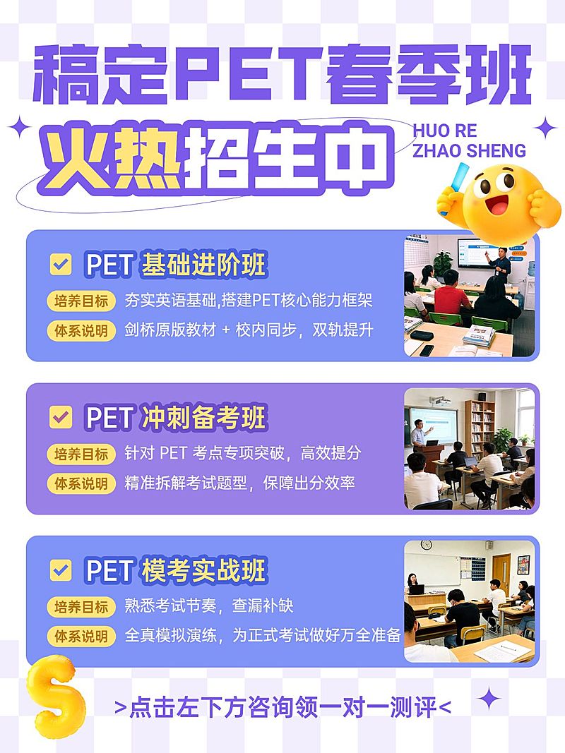 教育培训K12教育PET课程介绍拼图小红书配图